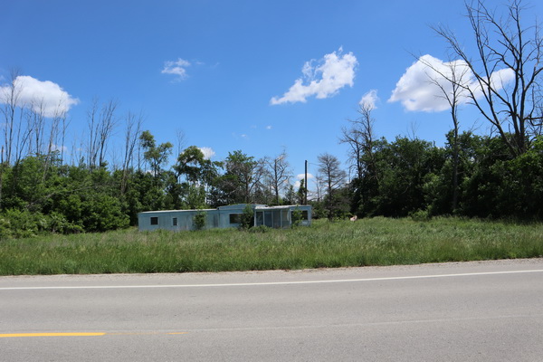 Argyle - June 2021 (newer photo)